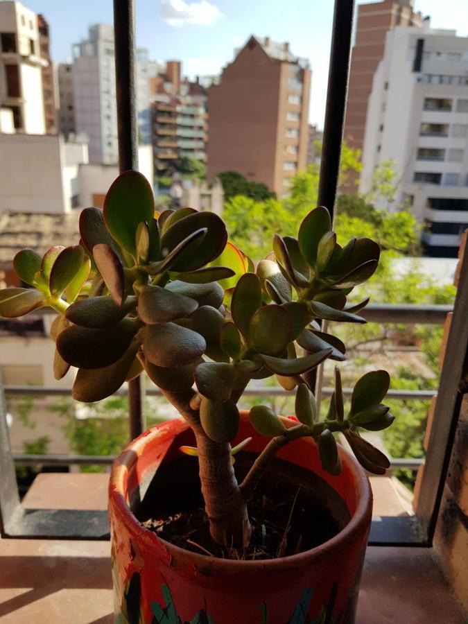 Apartamento Carlucci Кордоба Екстериор снимка